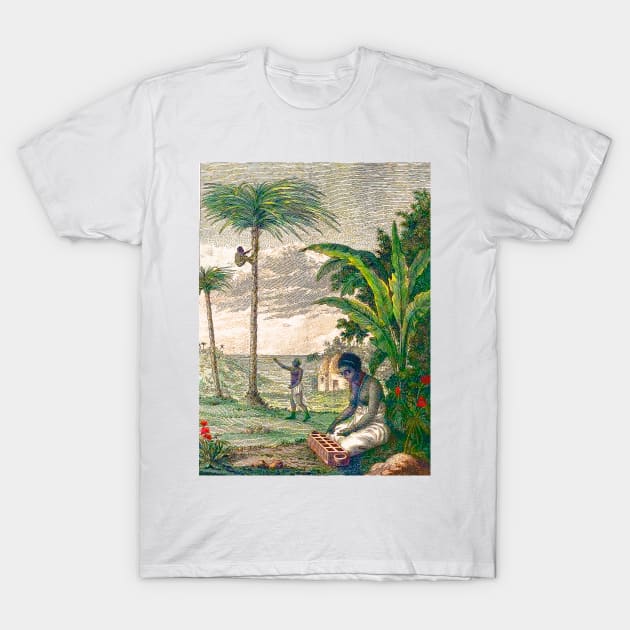 Natives picking coconuts T-Shirt by Marccelus